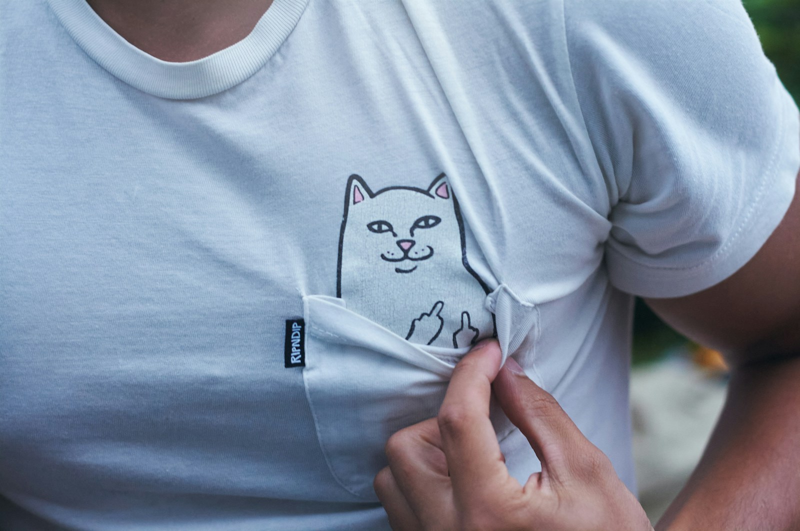 Photo by Max Herr a person wearing a white shirt with a cat on it DTF Transfer