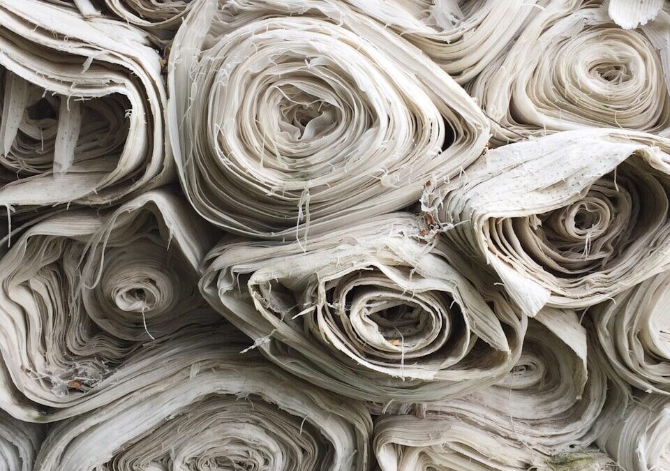 Polyester vs Cotton | The Ultimate Fabric Face-Off